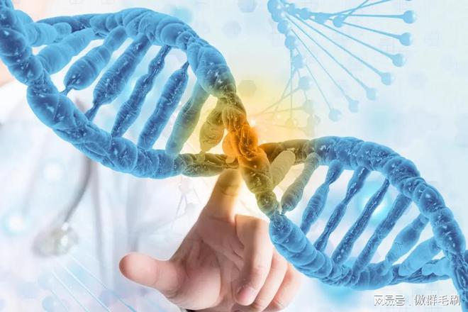 “刷” 出生物医药领域洁净新高度MG不朽情缘傲群医疗器械清洁刷：(图3)